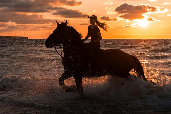 paard rijden in de zee
