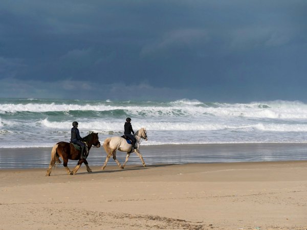 paardrijden strand
